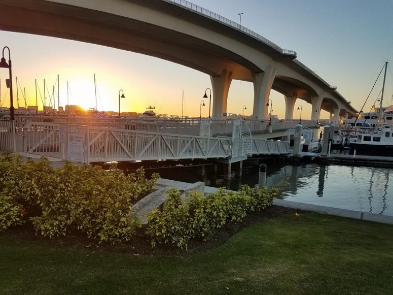 the bridge Clearwater